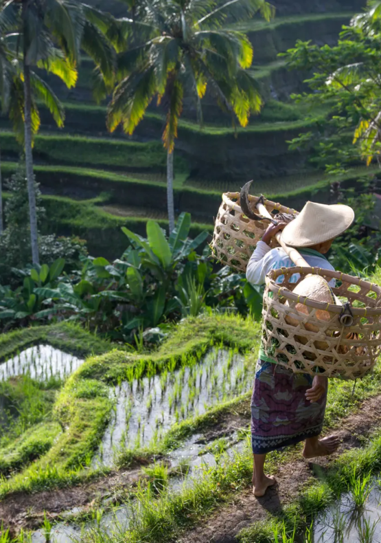 viaje diferente a Bali, viatge diferent a Bali