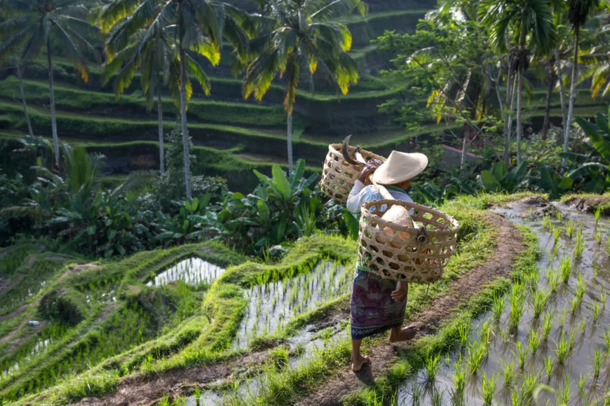 viaje diferente a Bali, viatge diferent a Bali
