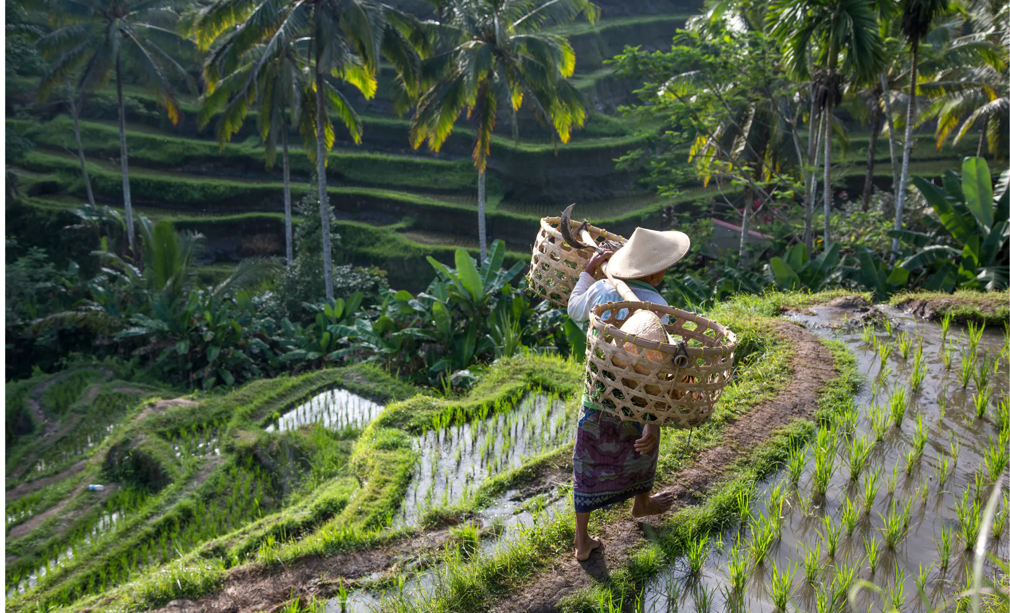 viaje diferente a Bali, viatge diferent a Bali