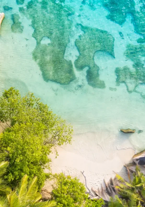 Viatge romàntic a les Seychelles, viaje romántico a las Seychelles