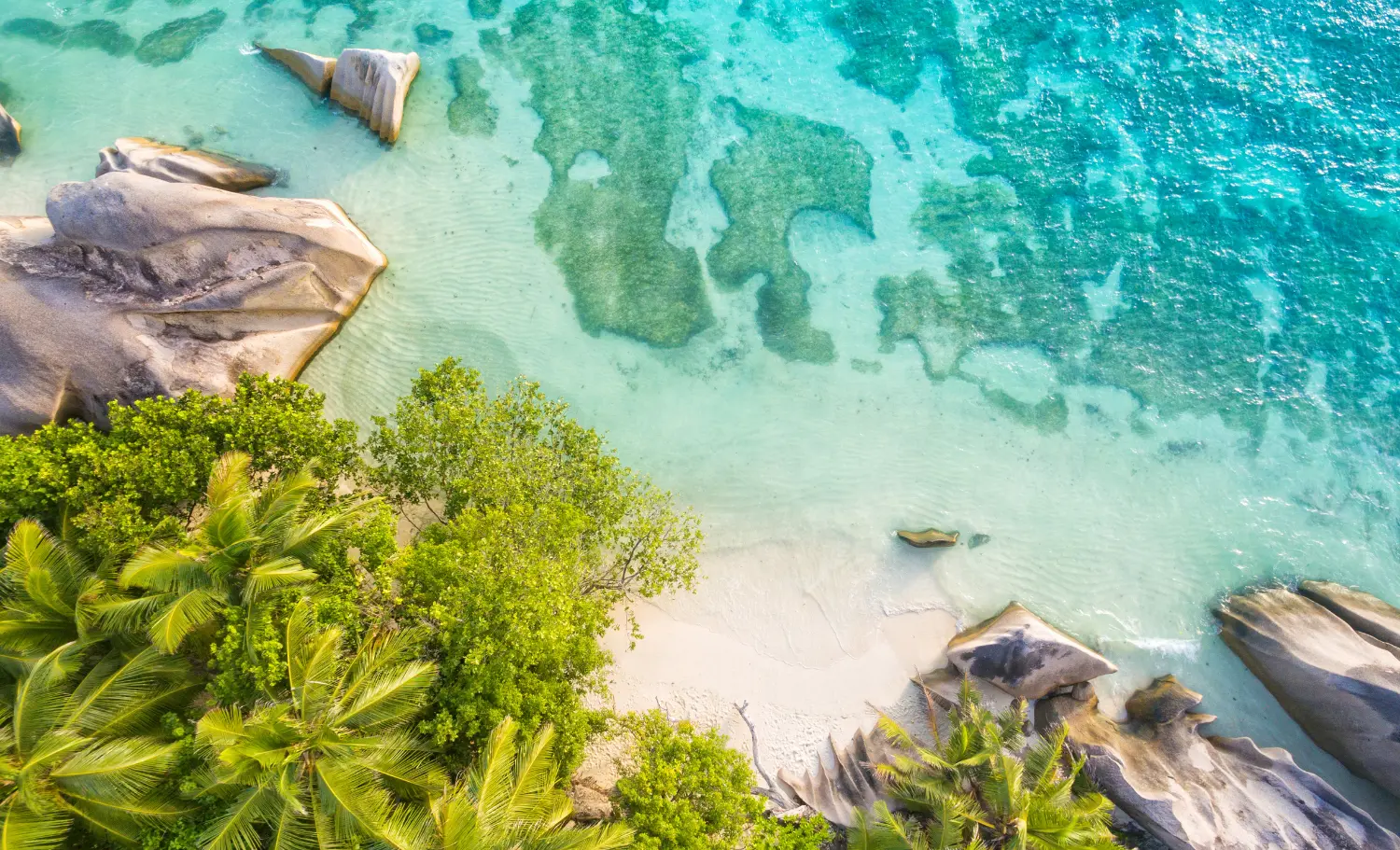 Viatge romàntic a les Seychelles, viaje romántico a las Seychelles