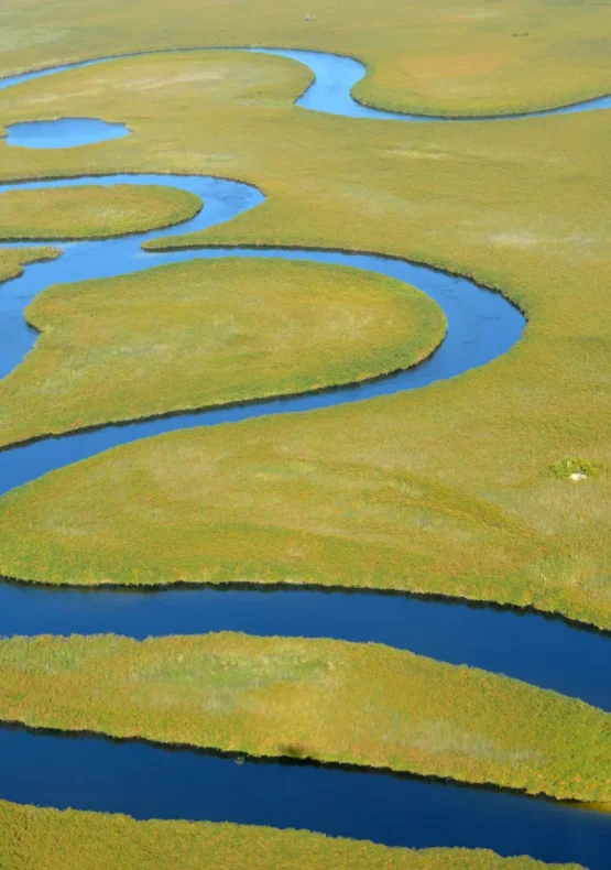 viatge al Delta de l'Okavanngo, Viaje al Delta del Okavango