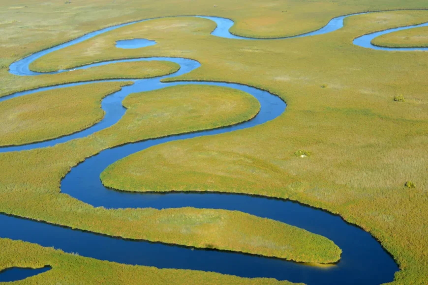 viatge al Delta de l'Okavanngo, Viaje al Delta del Okavango