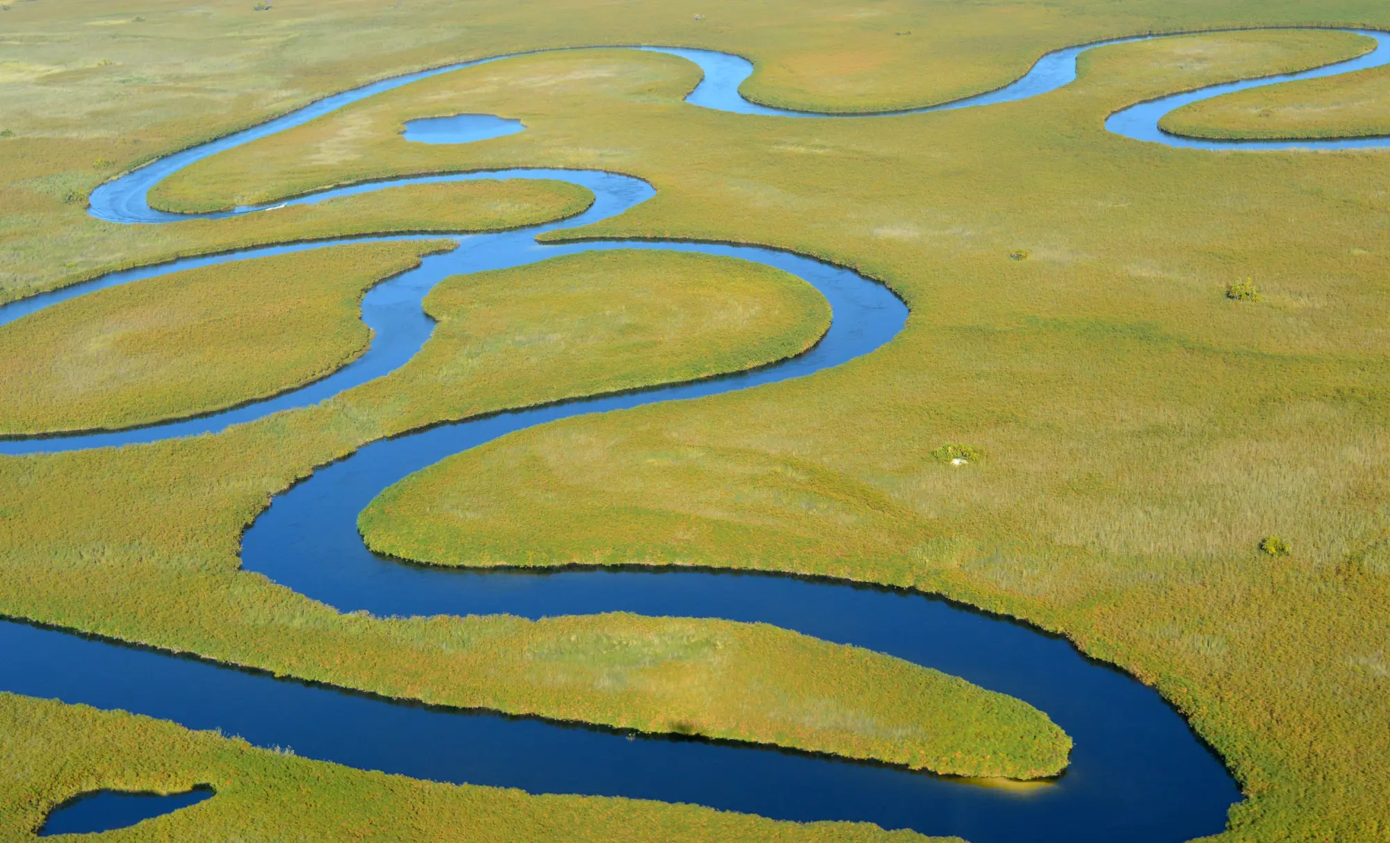 viatge al Delta de l'Okavanngo, Viaje al Delta del Okavango
