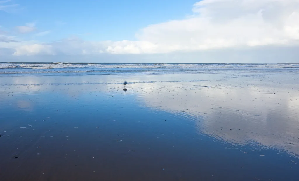 Viatge diferent a Bèlgica, viaje diferente a Bélgica