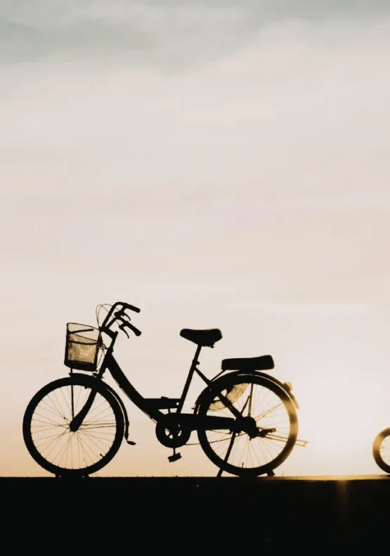 Flandes amb nens en bicicleta, Flandes con niños en bicicleta