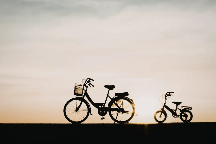 Flandes amb nens en bicicleta, Flandes con niños en bicicleta