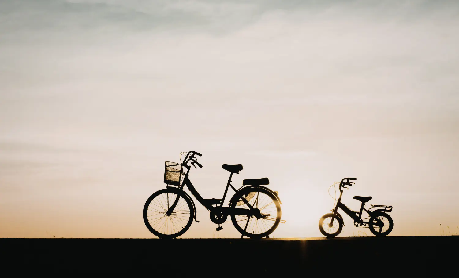 Flandes amb nens en bicicleta, Flandes con niños en bicicleta