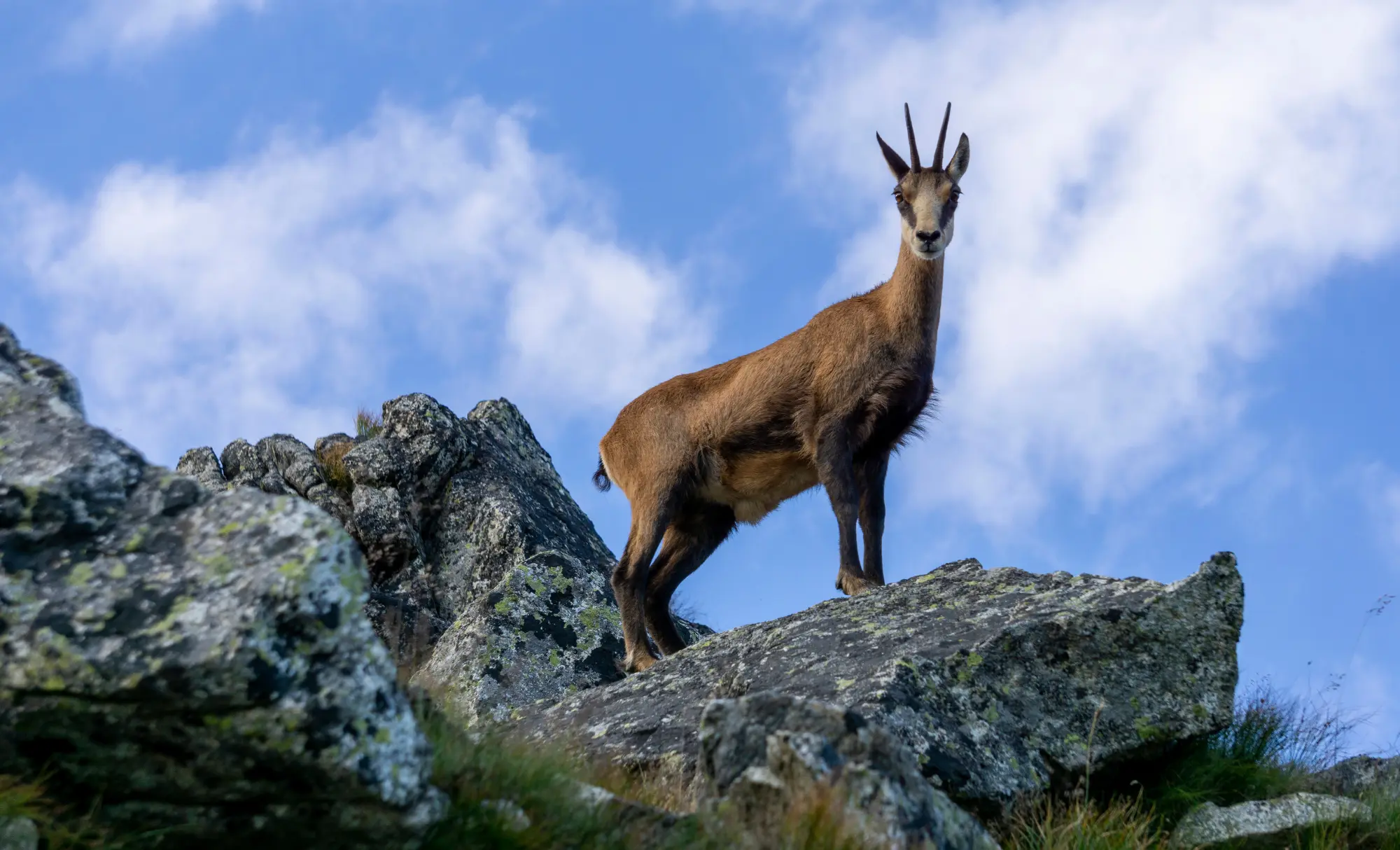 viatge d'aventures a Eslovàquia, viaje de Aventuras a Eslovaquia