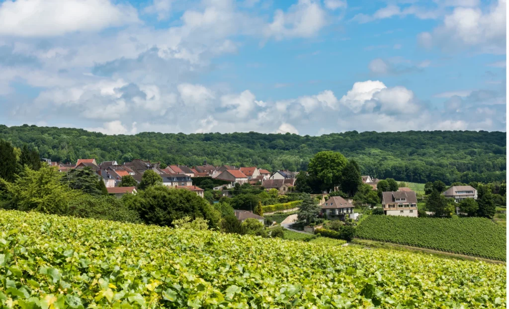 ruta del Champagne en cotxe, ruta del Champagne en coche