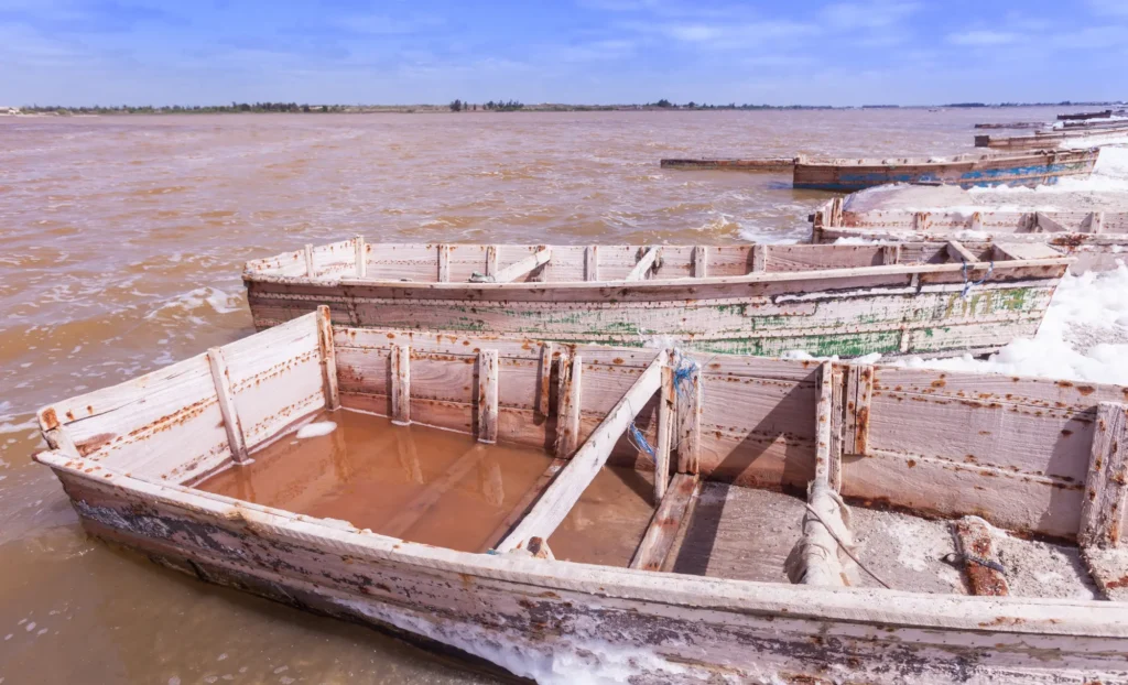Viatge al llac rosa, viaje al lago rosa