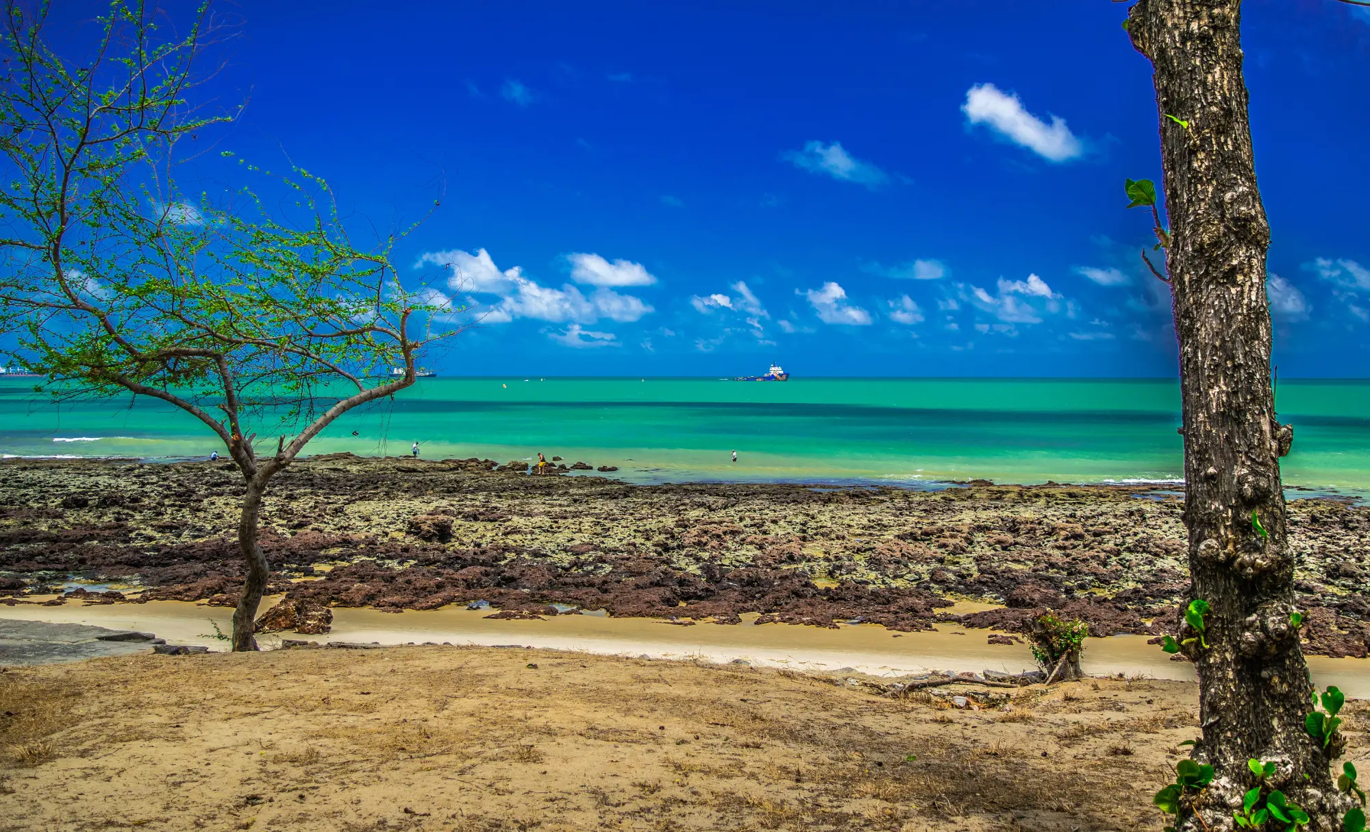 Lluna de mel a Brasil, luna de miel a Brasil