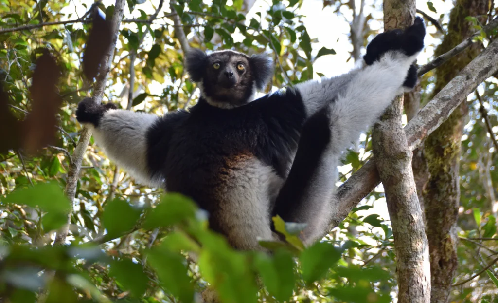 viatge a Madagascar a mida, viaje a Madagascar a medida