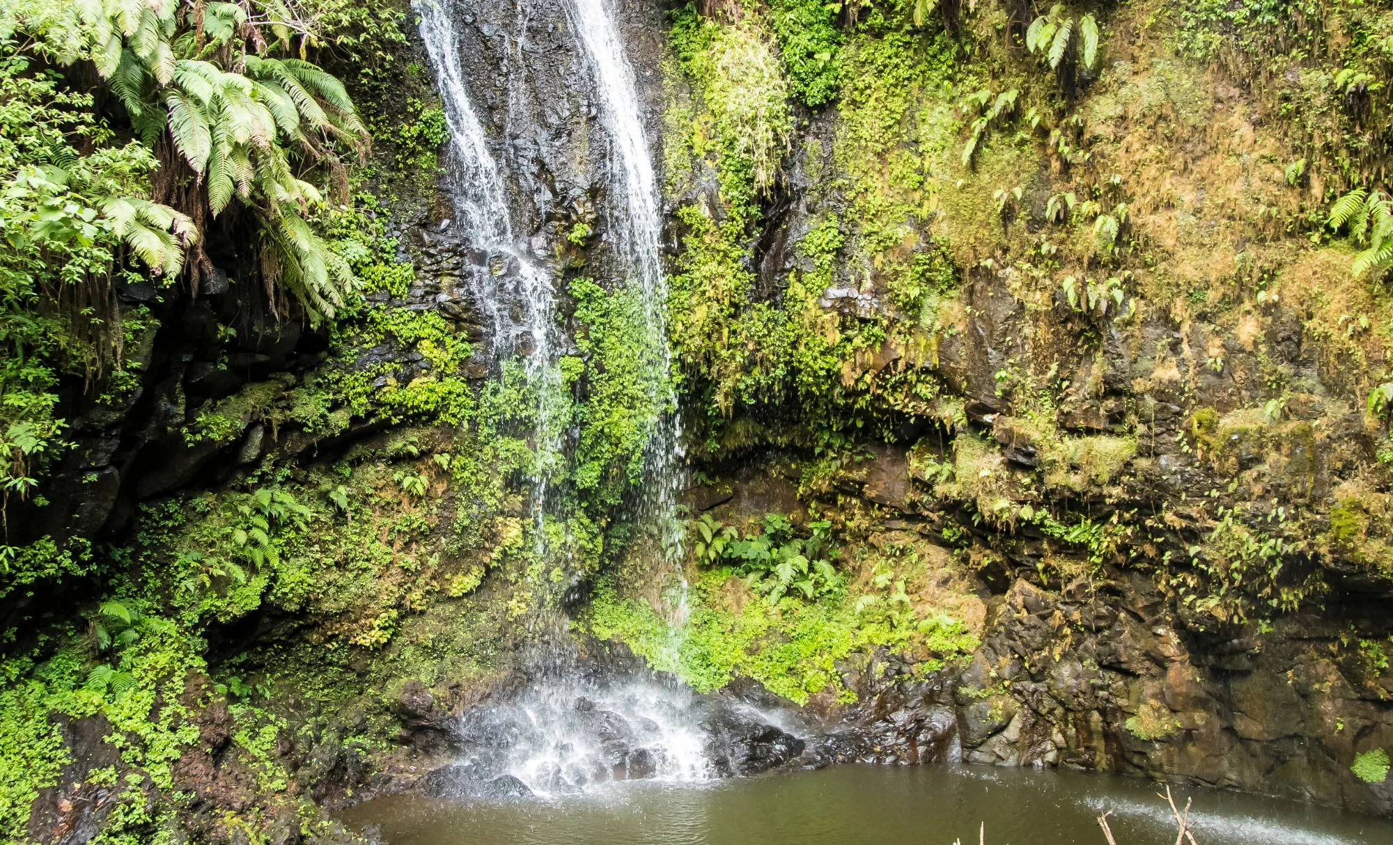 viatge a Madagascar amb nens, viaje a Madagascar con niños