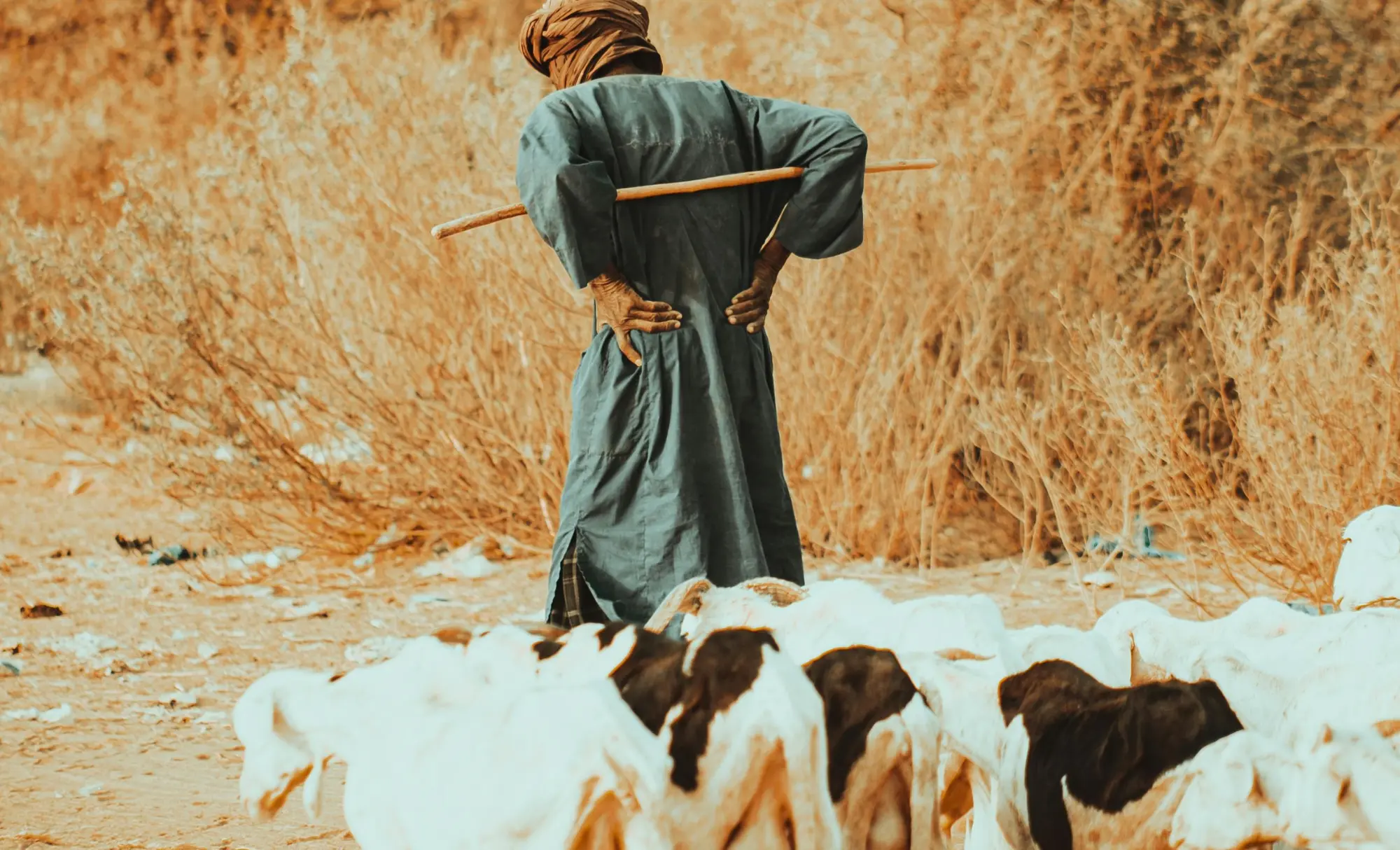 Viatge cultural a Senegal, viaje cultural al Senegal