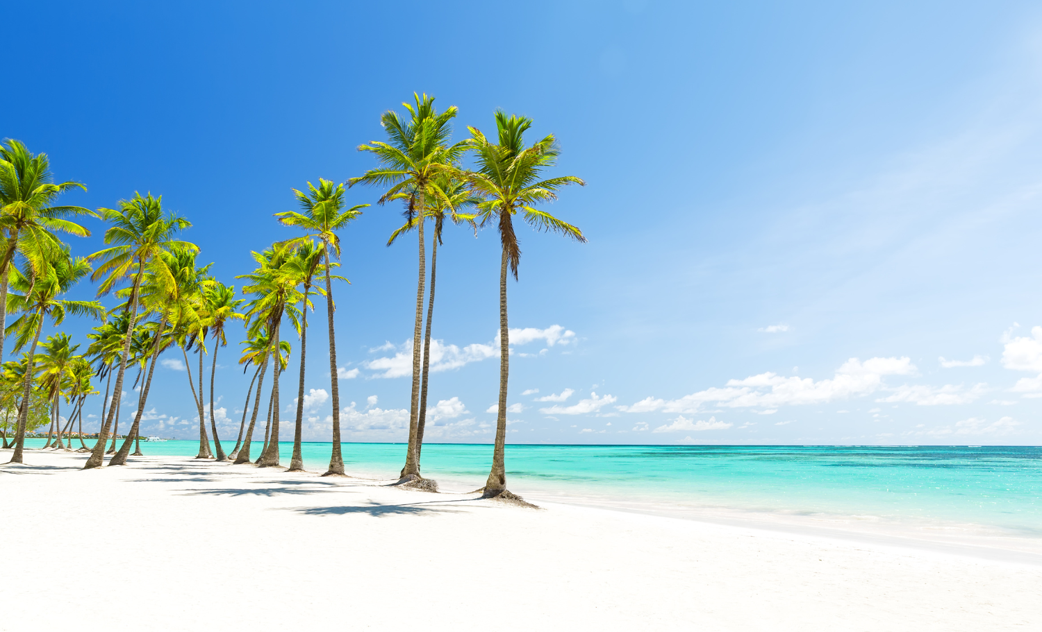 Viatge de noces a Punta Cana, Viaje de Novios a Punta Cana