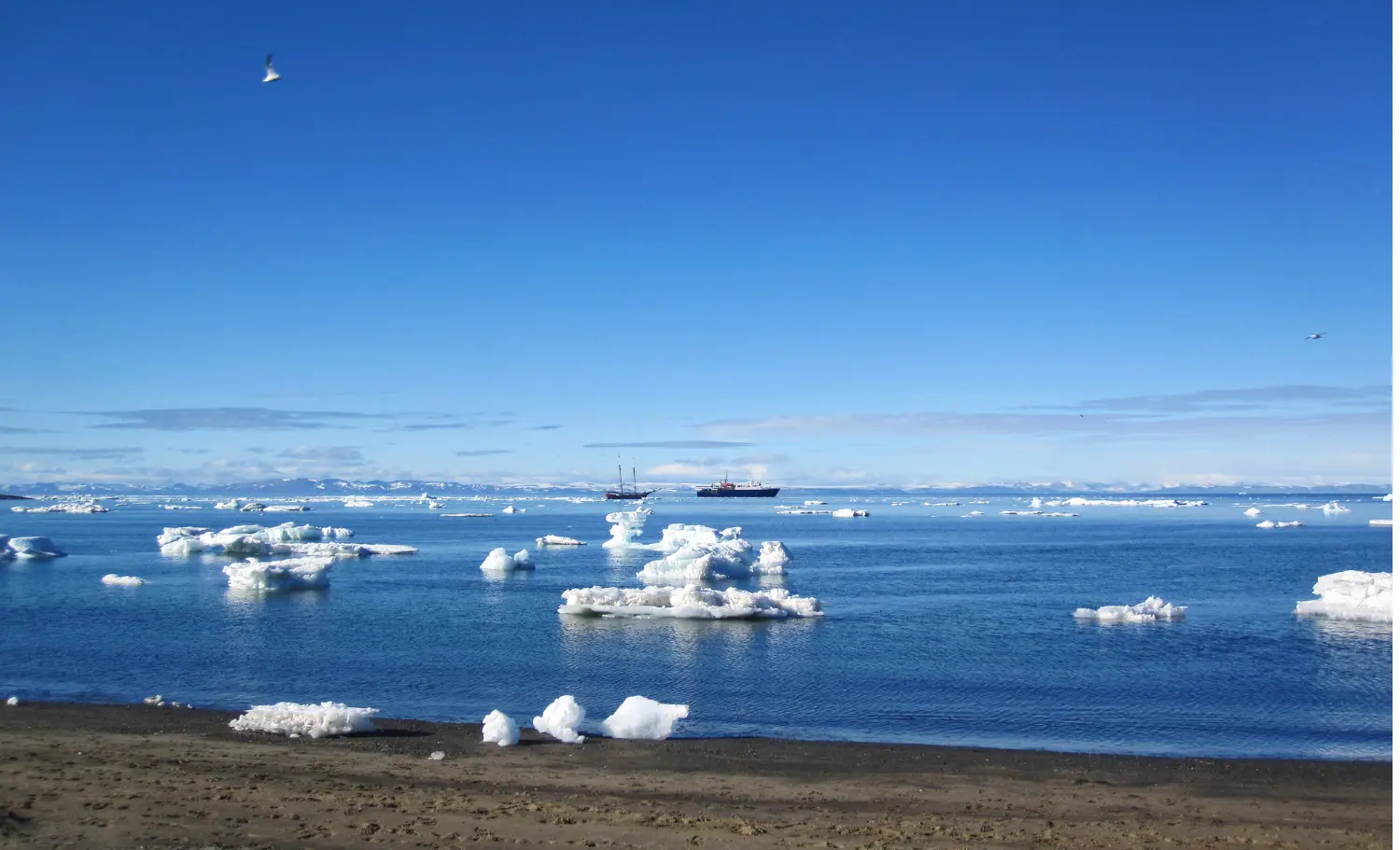 Viatge amb guia a Svalbard, viaje con guia a Svalbard
