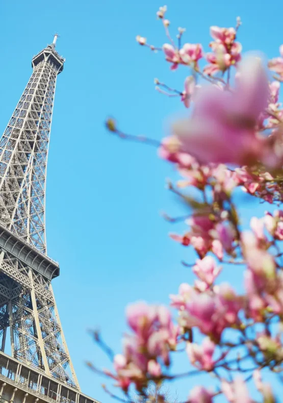 viatge de noces a París i Maurici, luna de miel a París y Mauricio