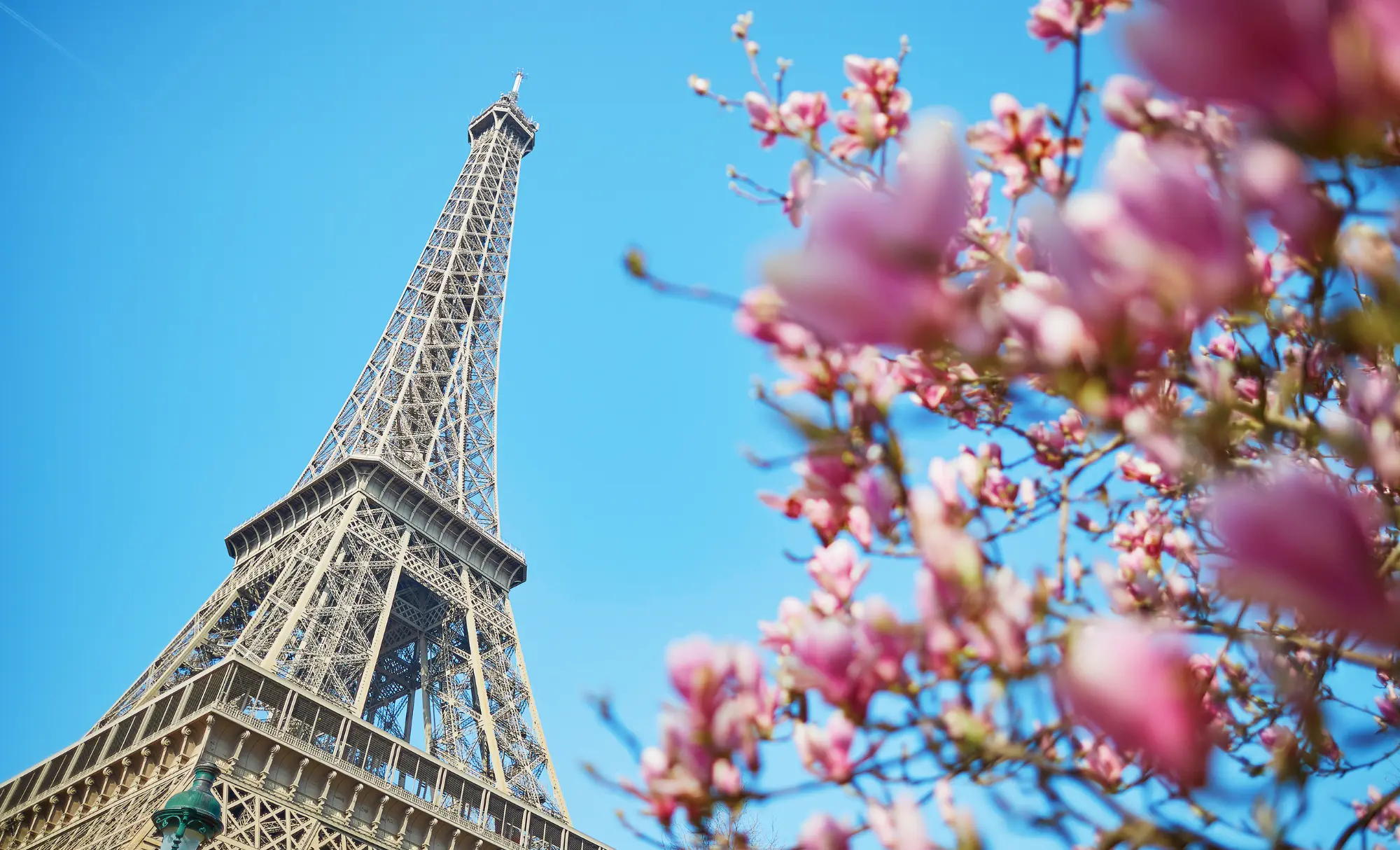 viatge de noces a París i Maurici, luna de miel a París y Mauricio
