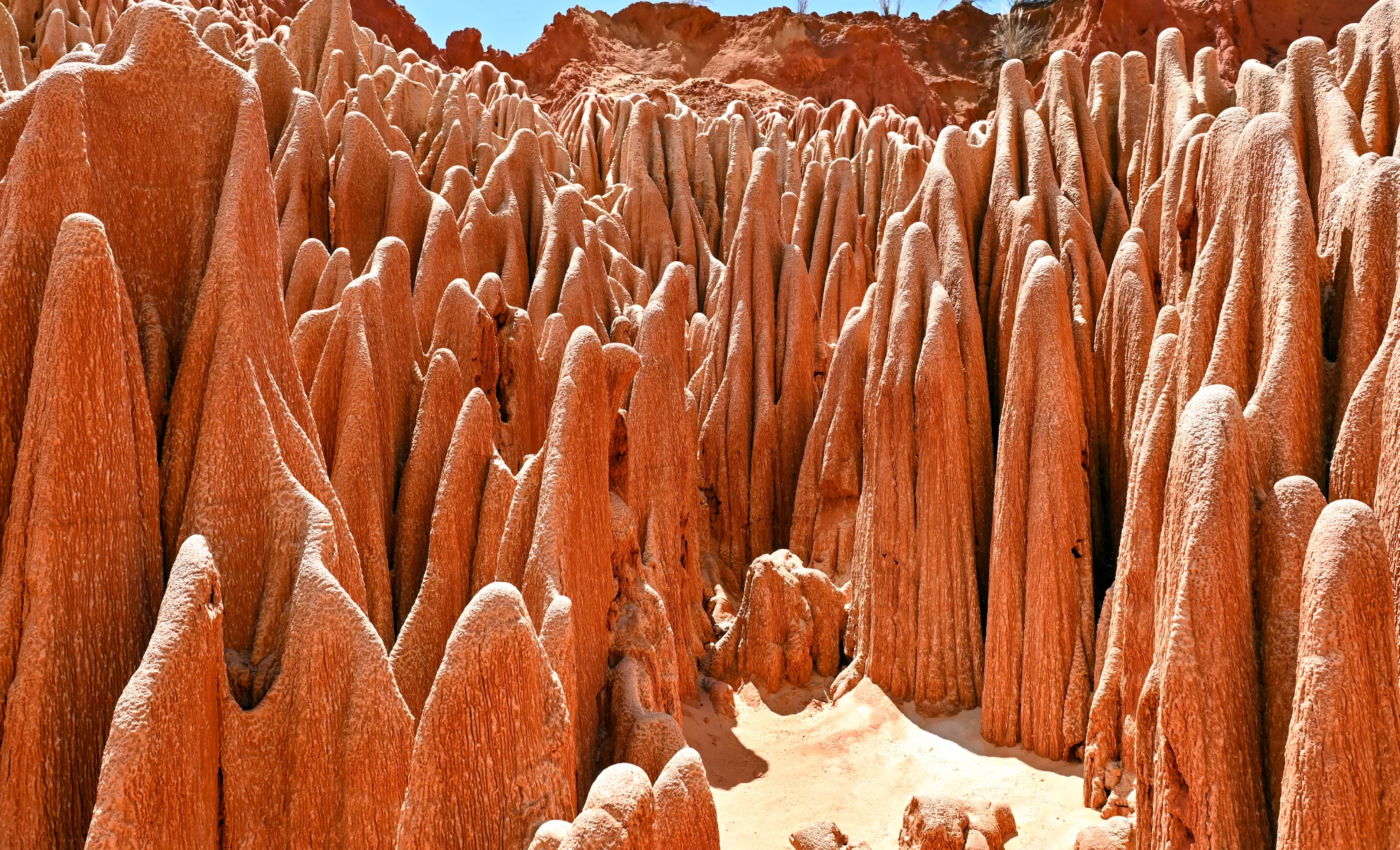 viaje diferente a Magascar, viatge diferent a Madagascar