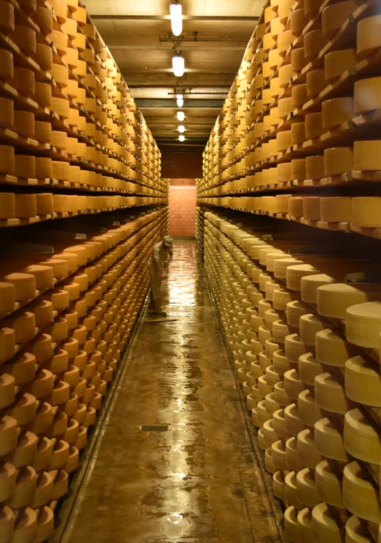 ruta gastronòmica per Suïssa, ruta gastronómica por Suiza
