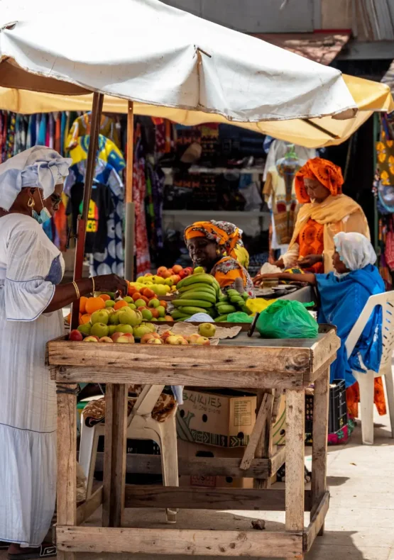 viatge organitzat a Senegal, viaje organizado a Senegal