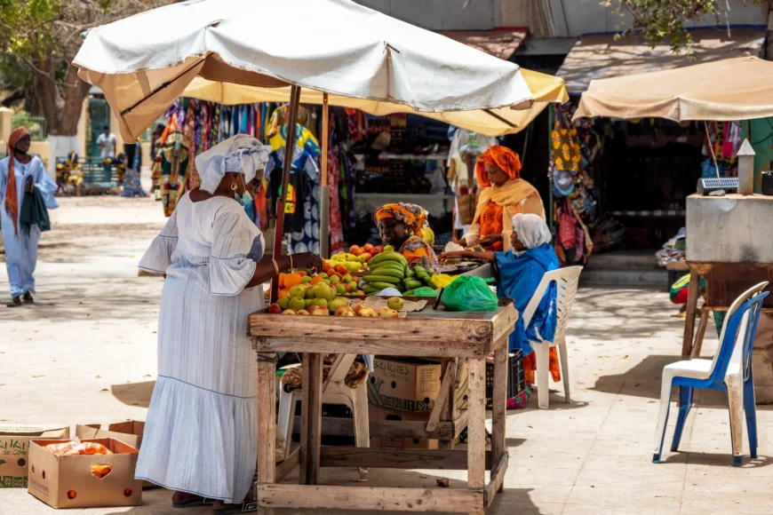 viatge organitzat a Senegal, viaje organizado a Senegal