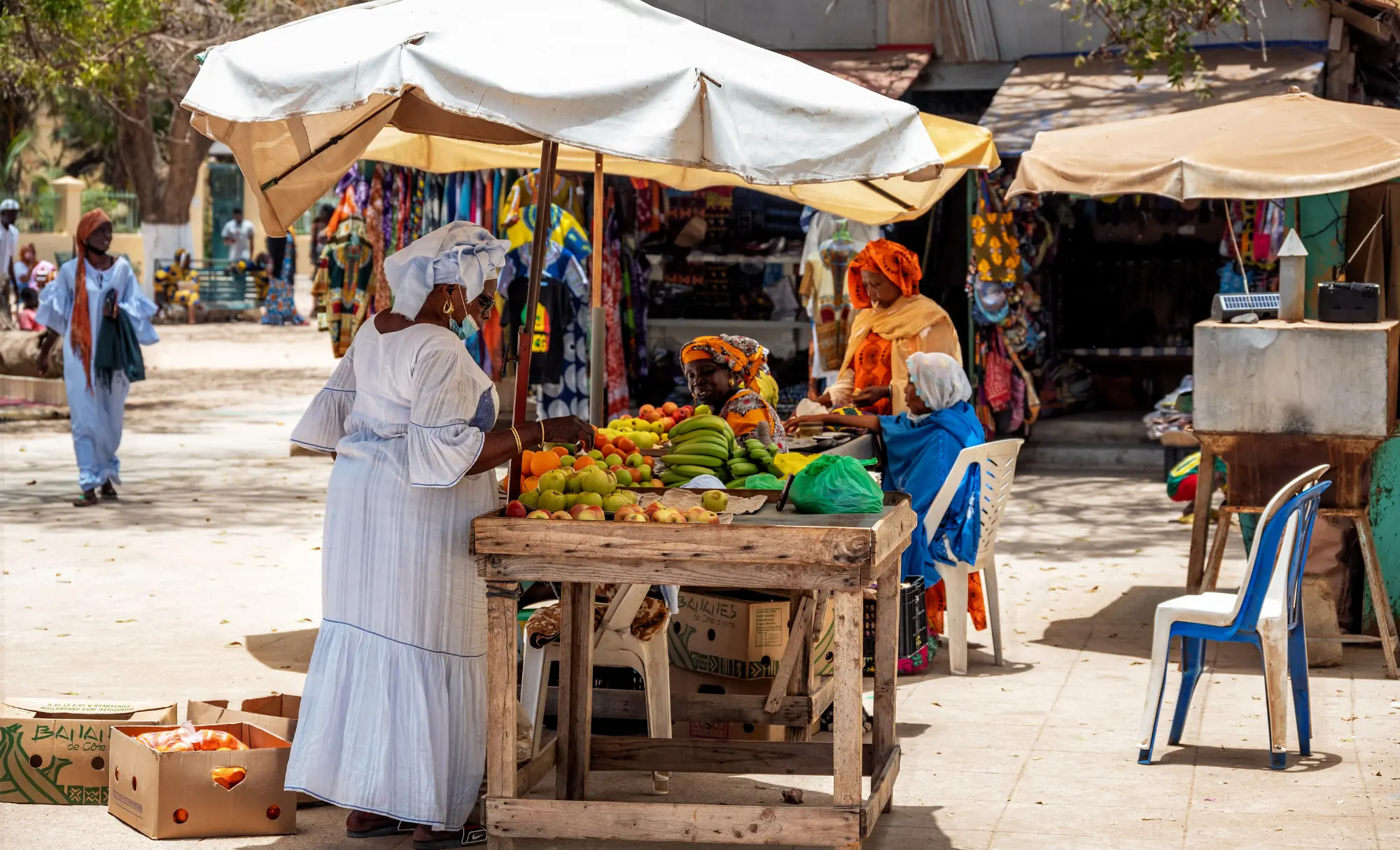 viatge organitzat a Senegal, viaje organizado a Senegal