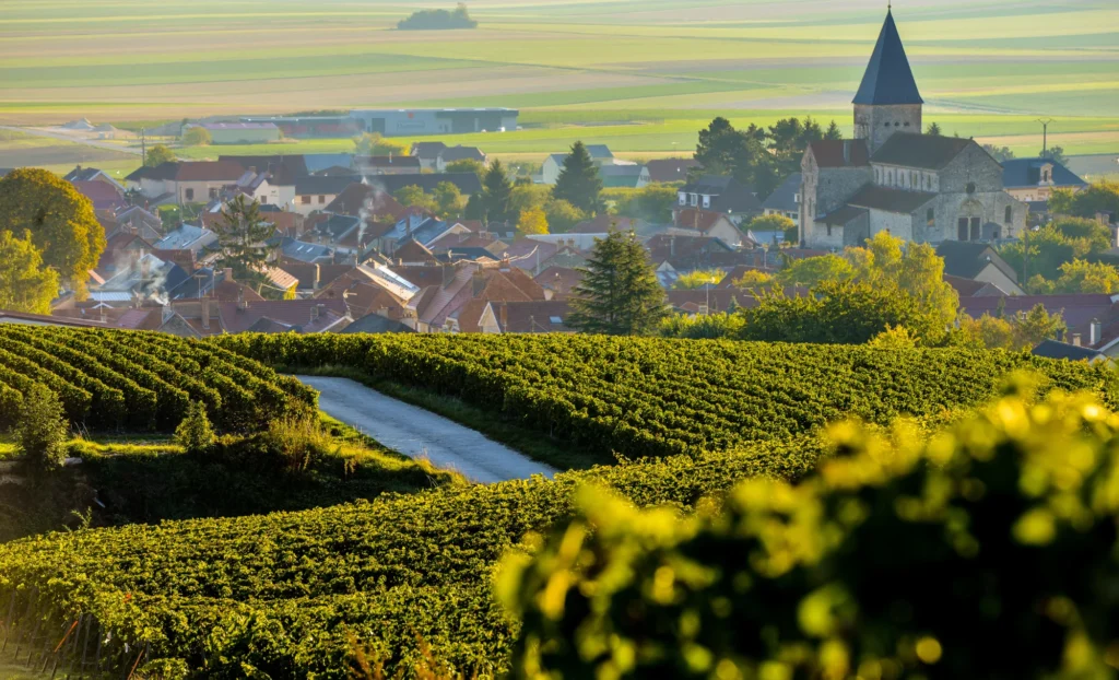 viate a mida a França, viaje a medida por Francia