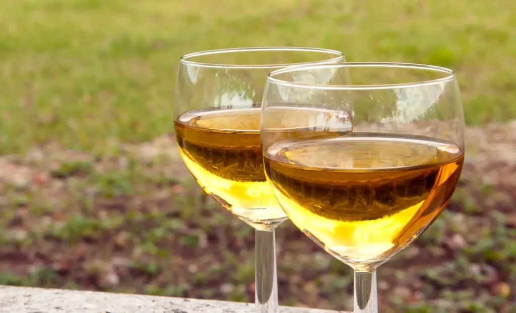 viatge enològic per l'Alsàcia, viaje enológico por la Alsacia