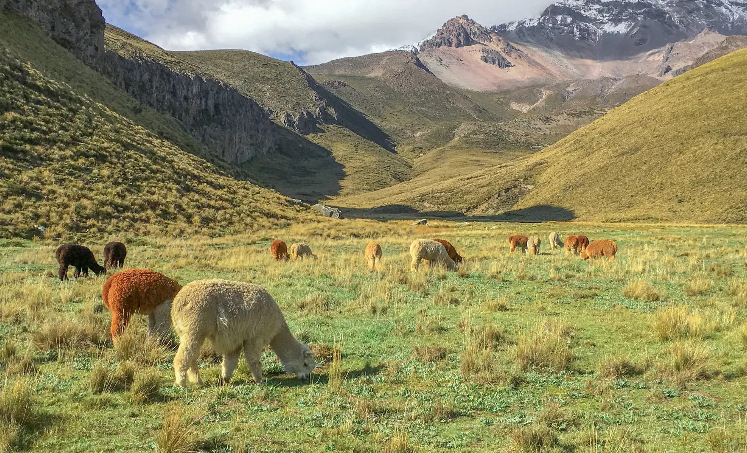 viatge a l'Equador, viaje al Ecuador