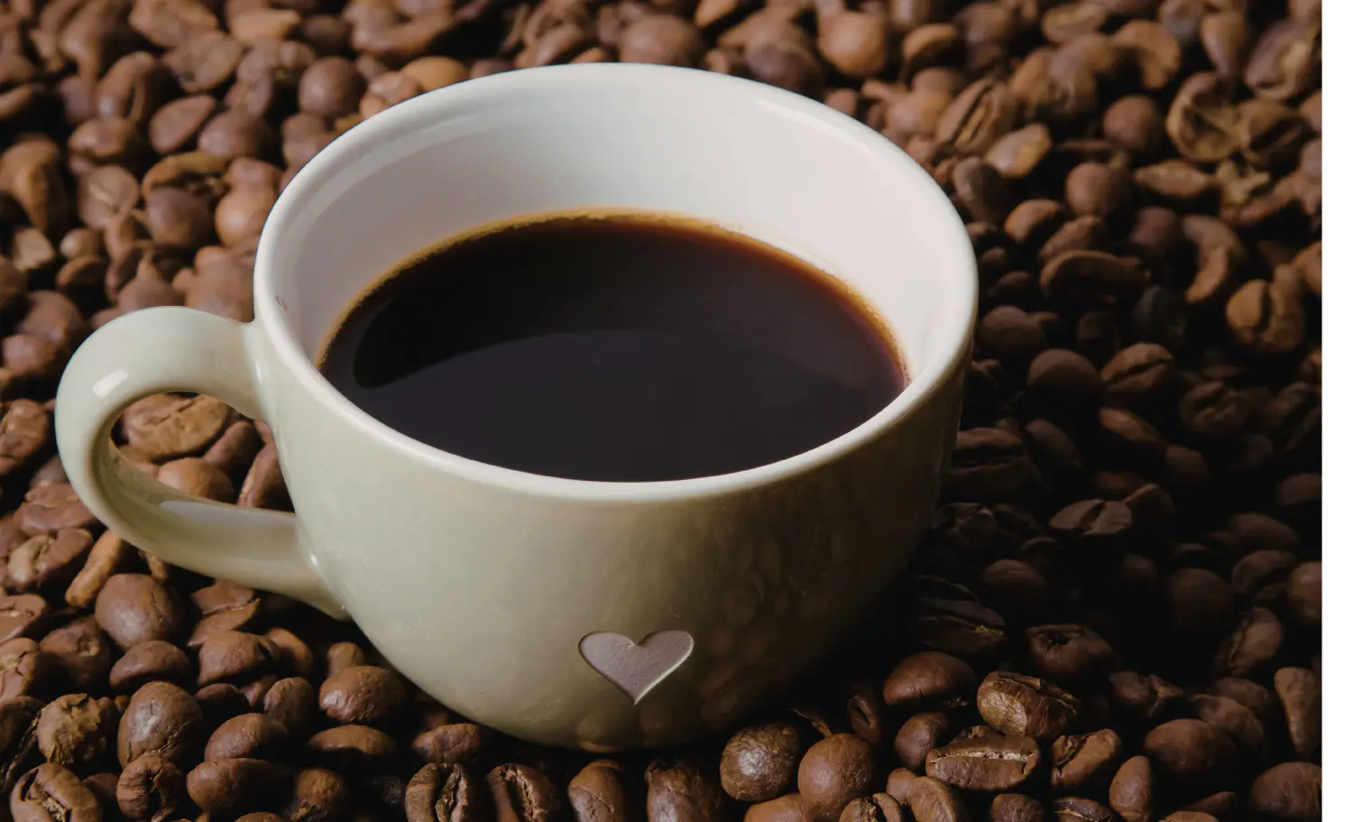 viatge als cafetars de Panamà, viaje a los cafetales de Panamá