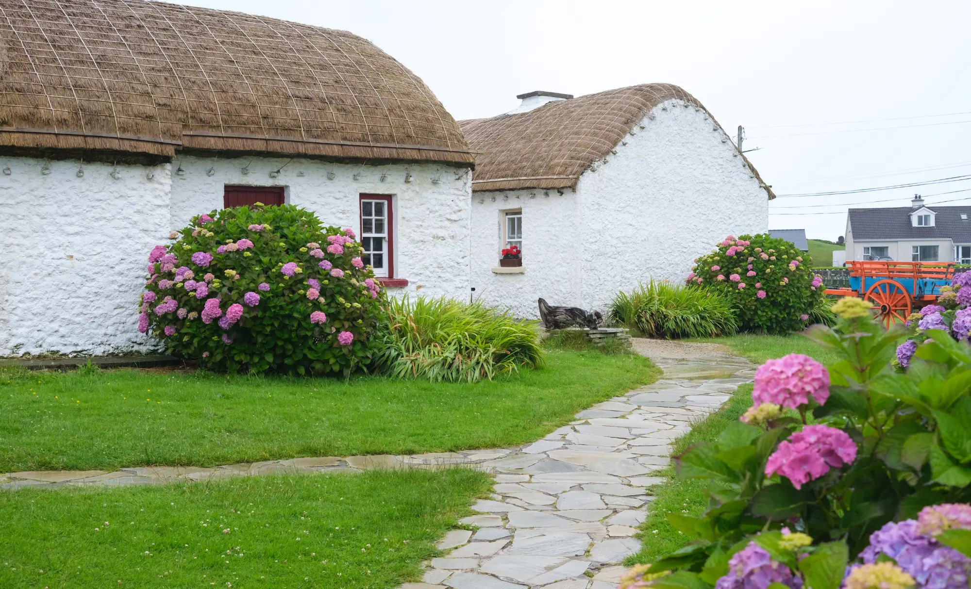 Ilranda en granges, Irlanda en granjas