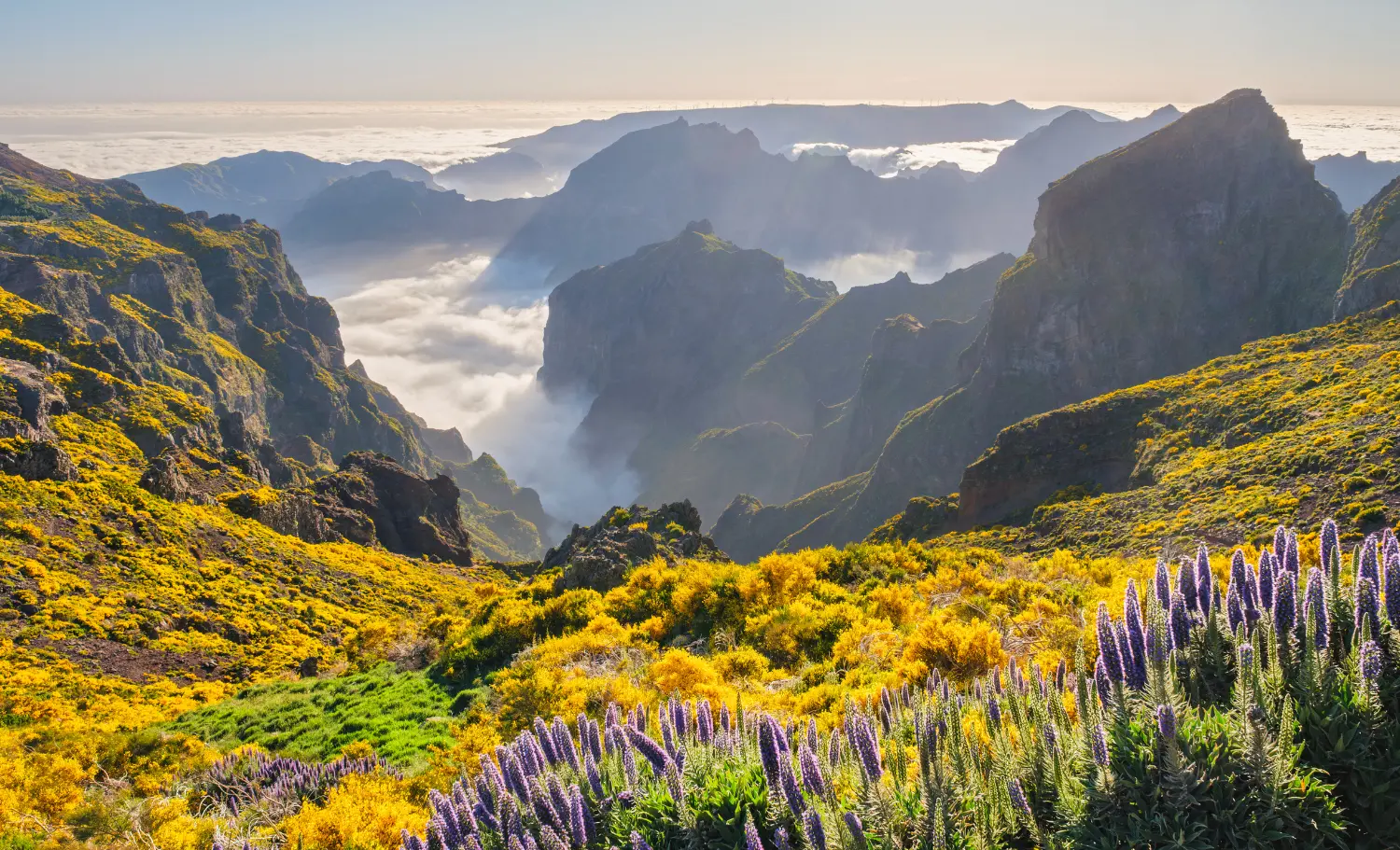 Circuit organitzat a Madeira, viaje organizado a Madeira