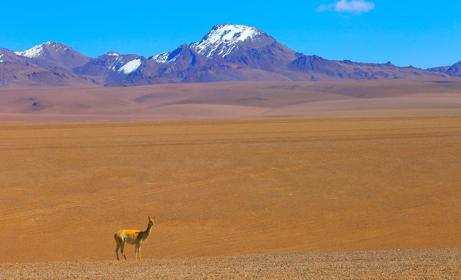 gran viatge a Bolívia, gran viaje a Bolivia