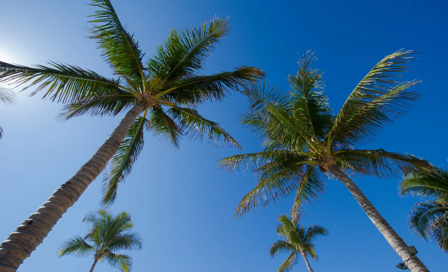 viatge de noces a Los Cabos, viaje de novios a Los Cabos