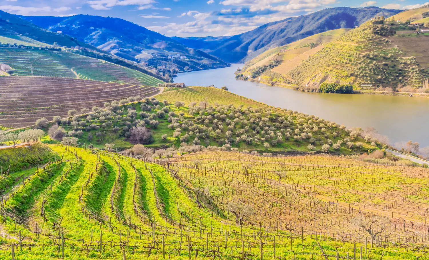ruta pel Duero, ruta por el Duero