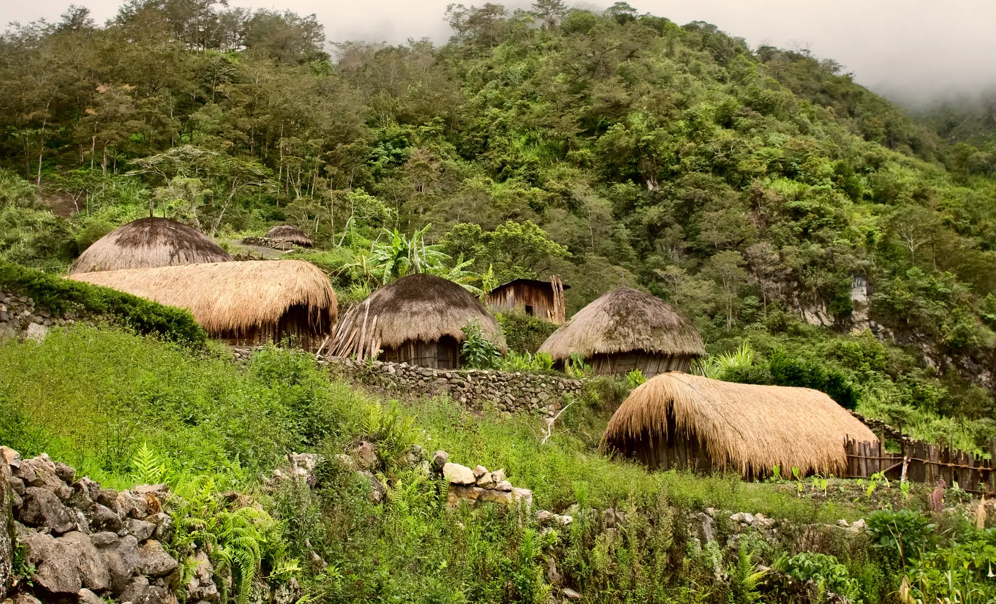 Papua Nova Guinea amb guia, Papua Nueva Guinea con guía