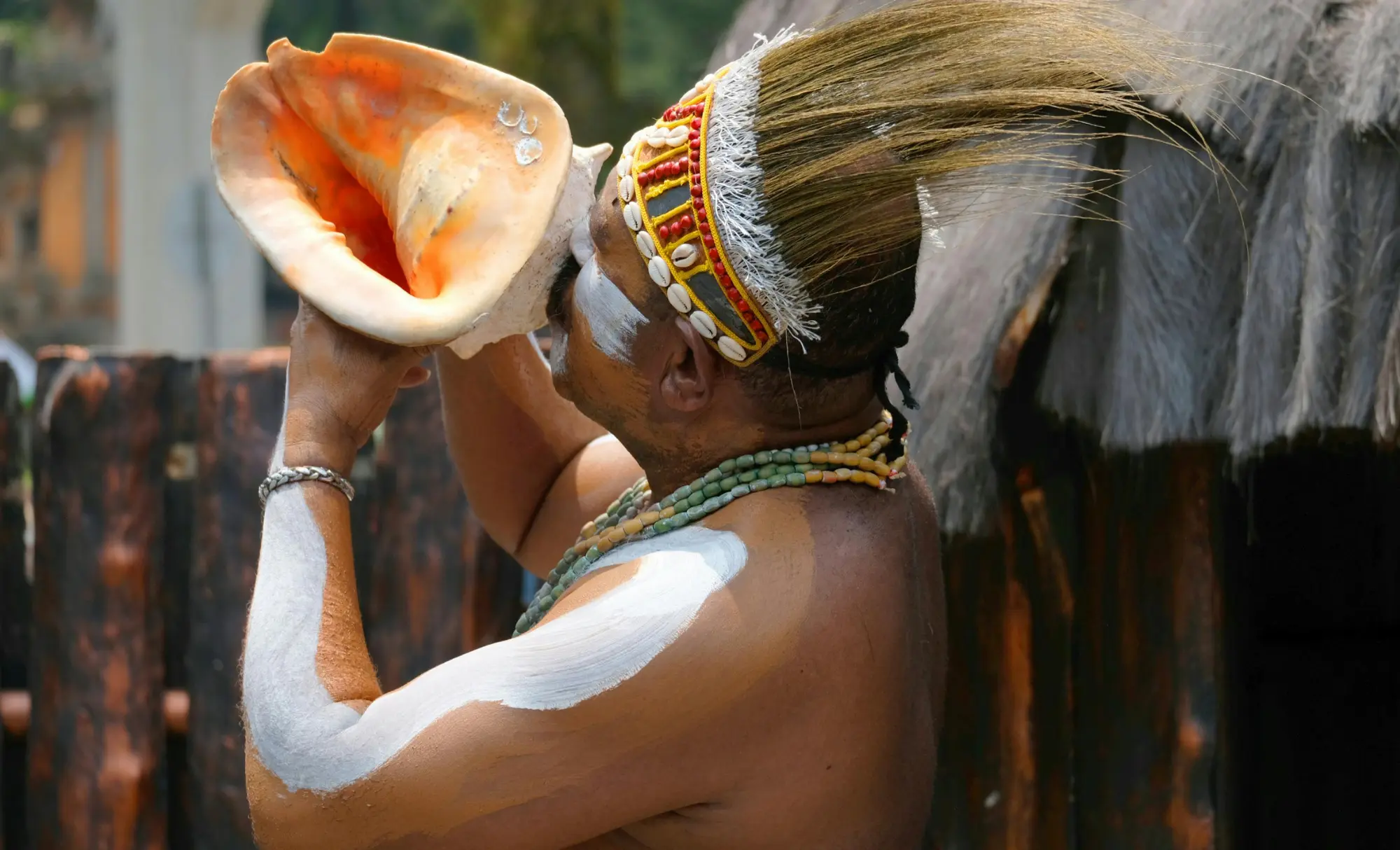 Viatge a Papua Nova Guinea, Viaje a Papua Nueva Guinea