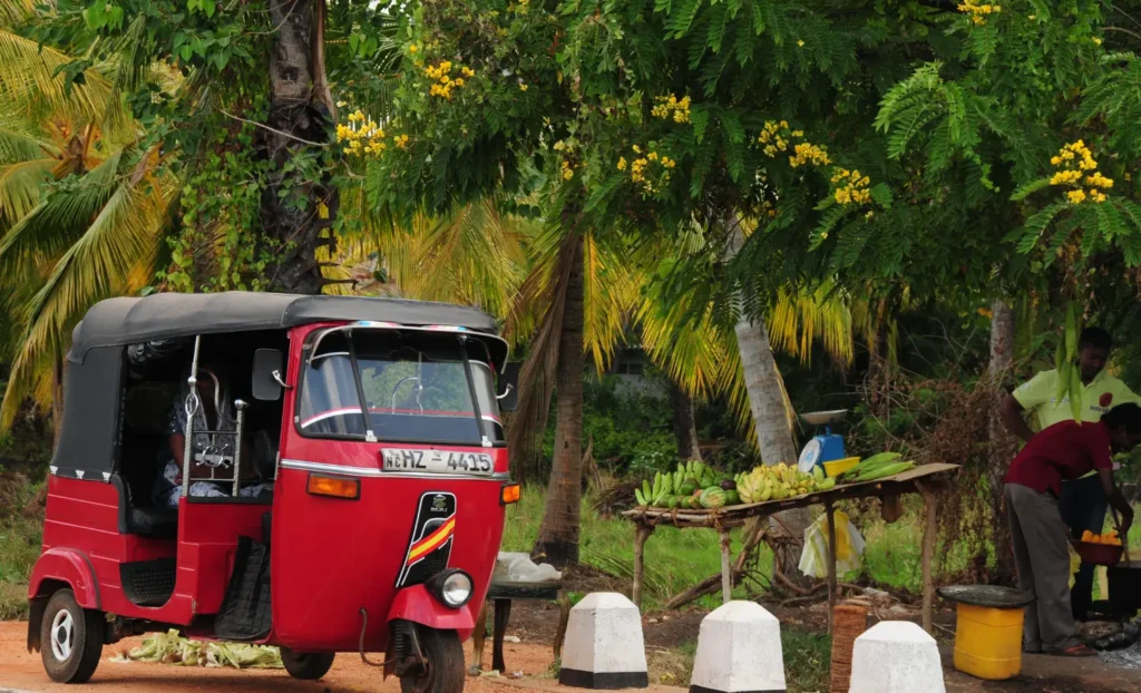 Viatge a Sri Lanka amb nens